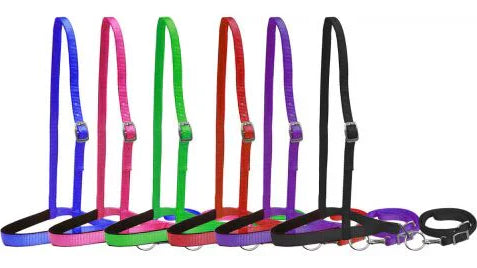 Why Nosebands & Tie Downs Are Used in Barrel Racing