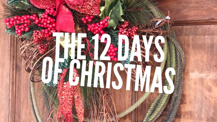 12 Big Specials For The First 12 Days Of December!!!