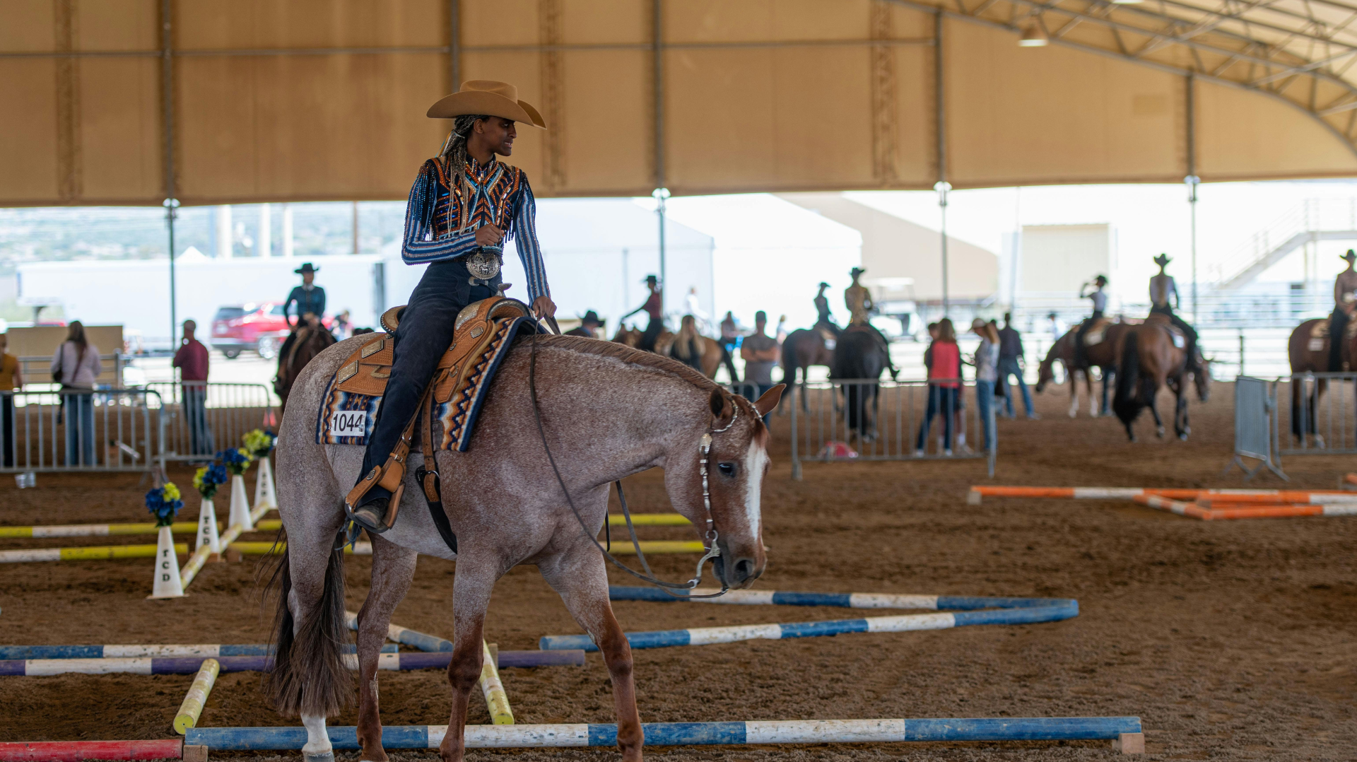 Best Affordable Western Show Shirts for Beginners