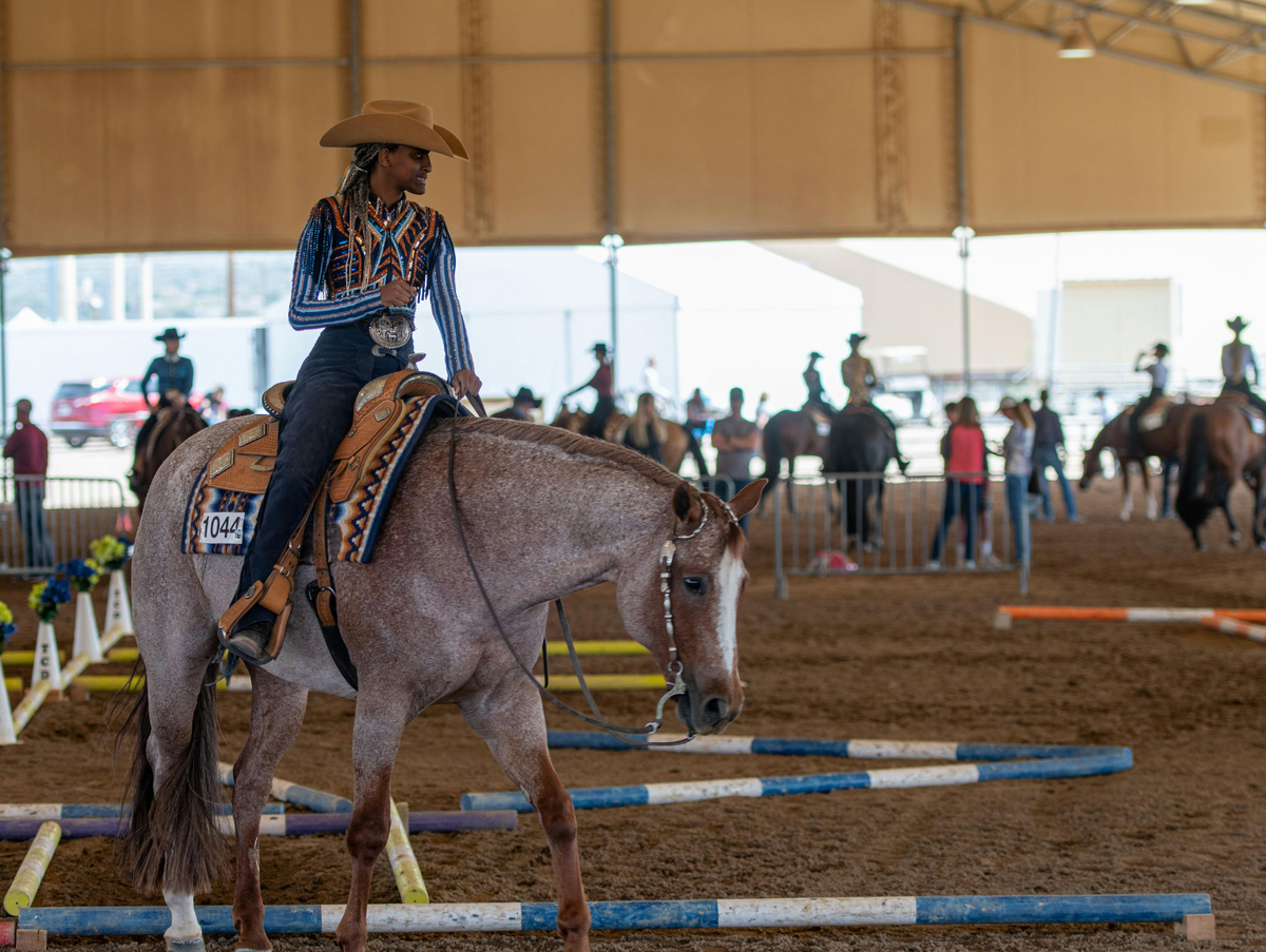 Best Affordable Western Show Shirts for Beginners