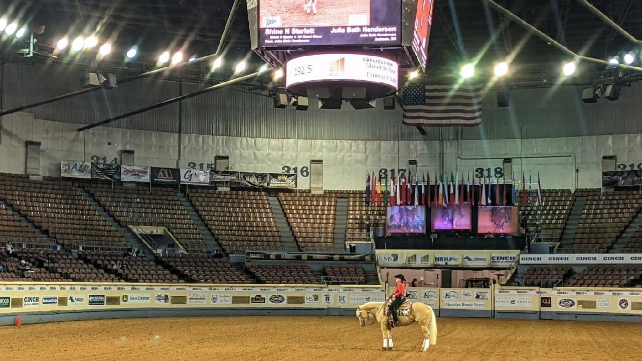 Horse Show Essentials under $50