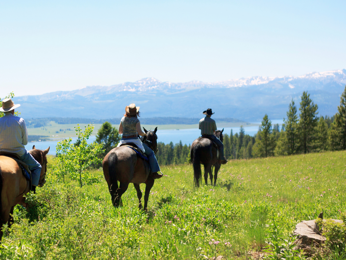 5 Tips for Better Trail Rides