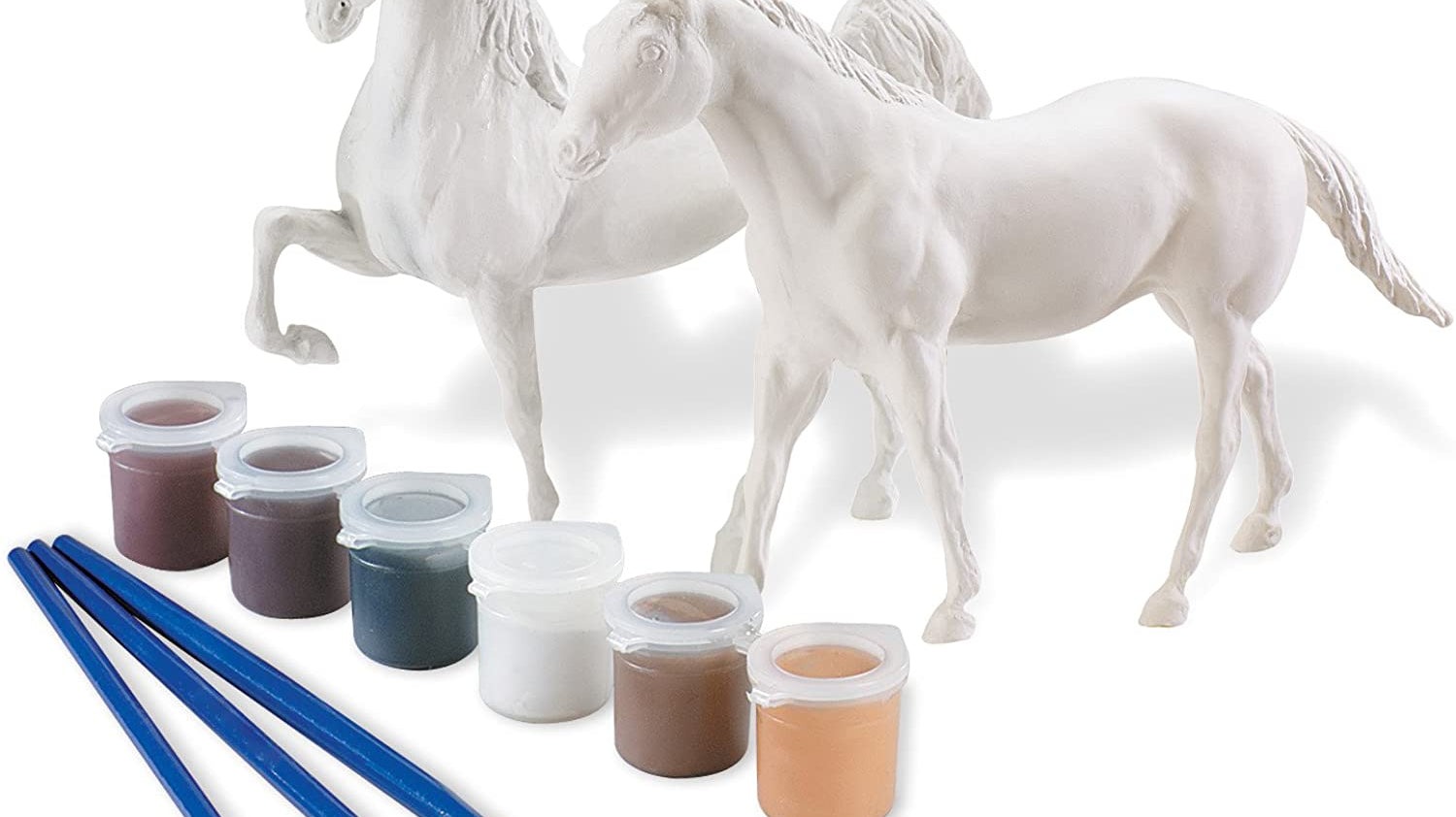 Looking for a Fun Activity with the Kids??