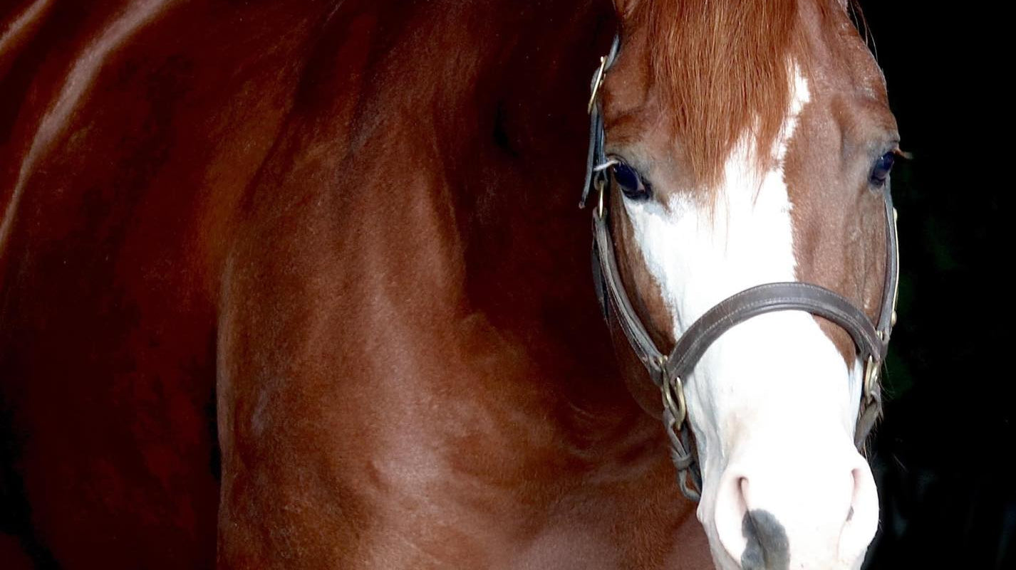 From Worms to Winning