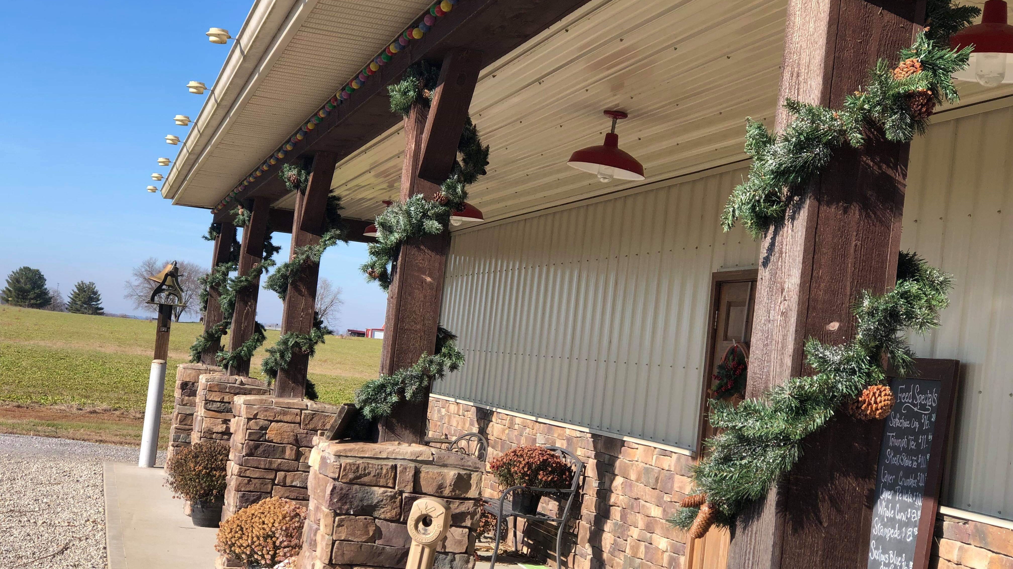 Black Friday Blowout