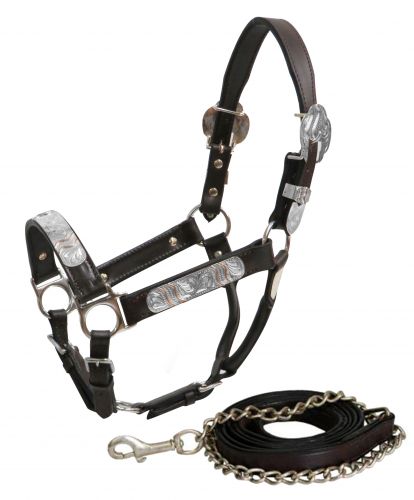Show Halter ~ Yearling - Henderson's Western Store