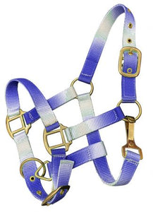 Load image into Gallery viewer, Nylon Halters ~ Ombre ~ Pony - Henderson&#39;s Western Store