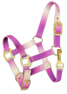 Load image into Gallery viewer, Nylon Halters ~ Ombre ~ Pony - Henderson&#39;s Western Store