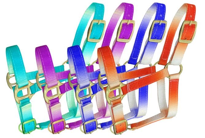 Shiloh Halters