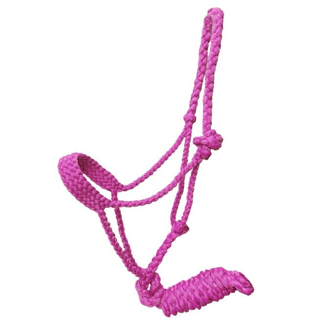 Mule Tape Halter ~ Pony - Henderson's Western Store