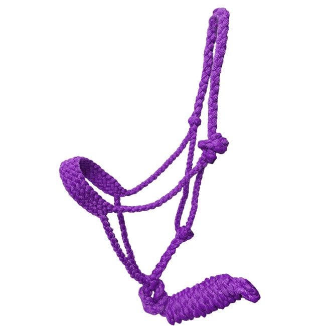Mule Tape Halter ~ Pony - Henderson's Western Store
