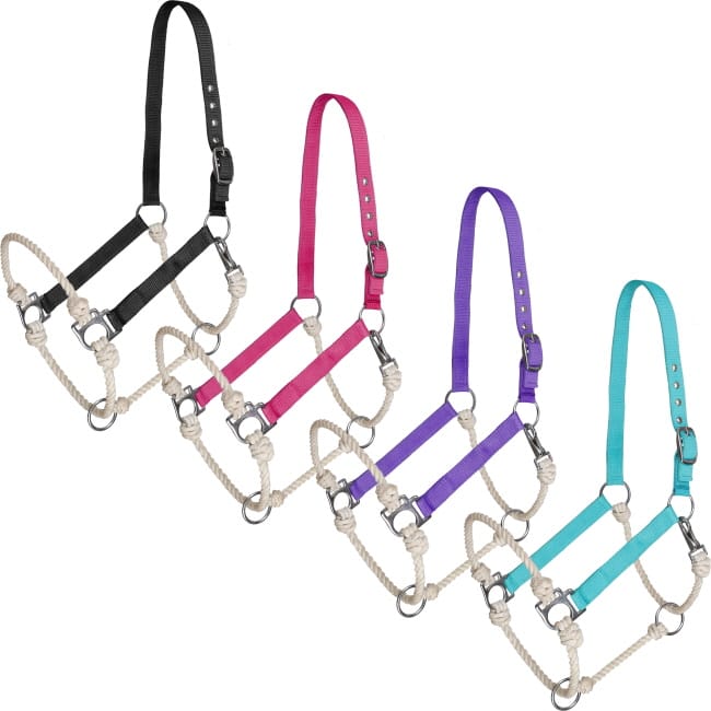 Shiloh Halters