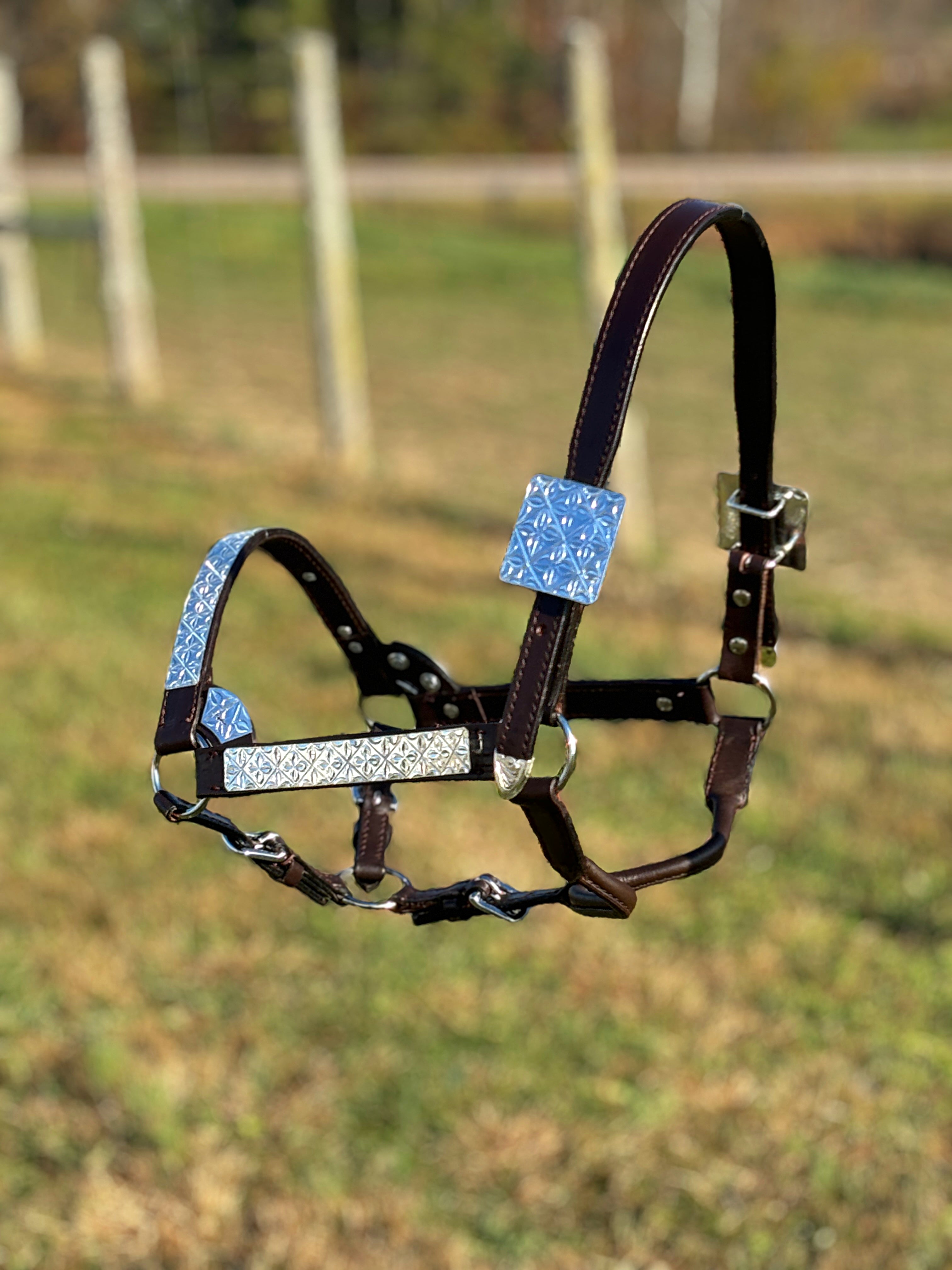 Dark Leather Show Halter ~ Floral - Henderson's Western Store