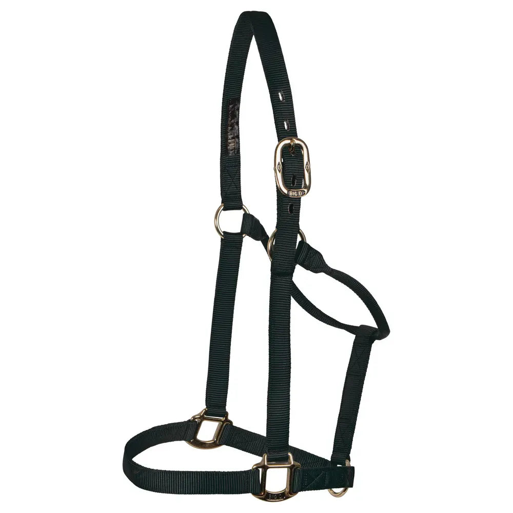 Big "D" halter
