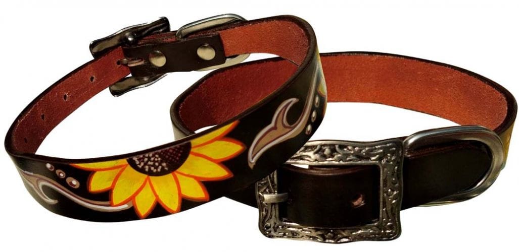 Henderson's Western Store Dog Collar