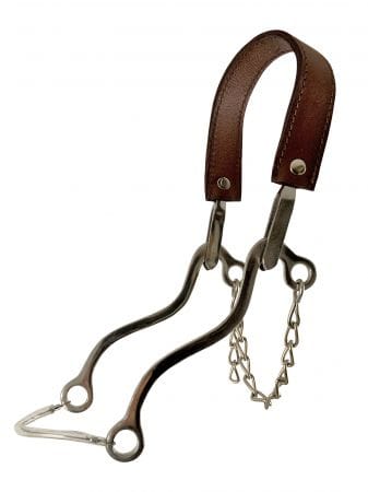 shiloh Bits