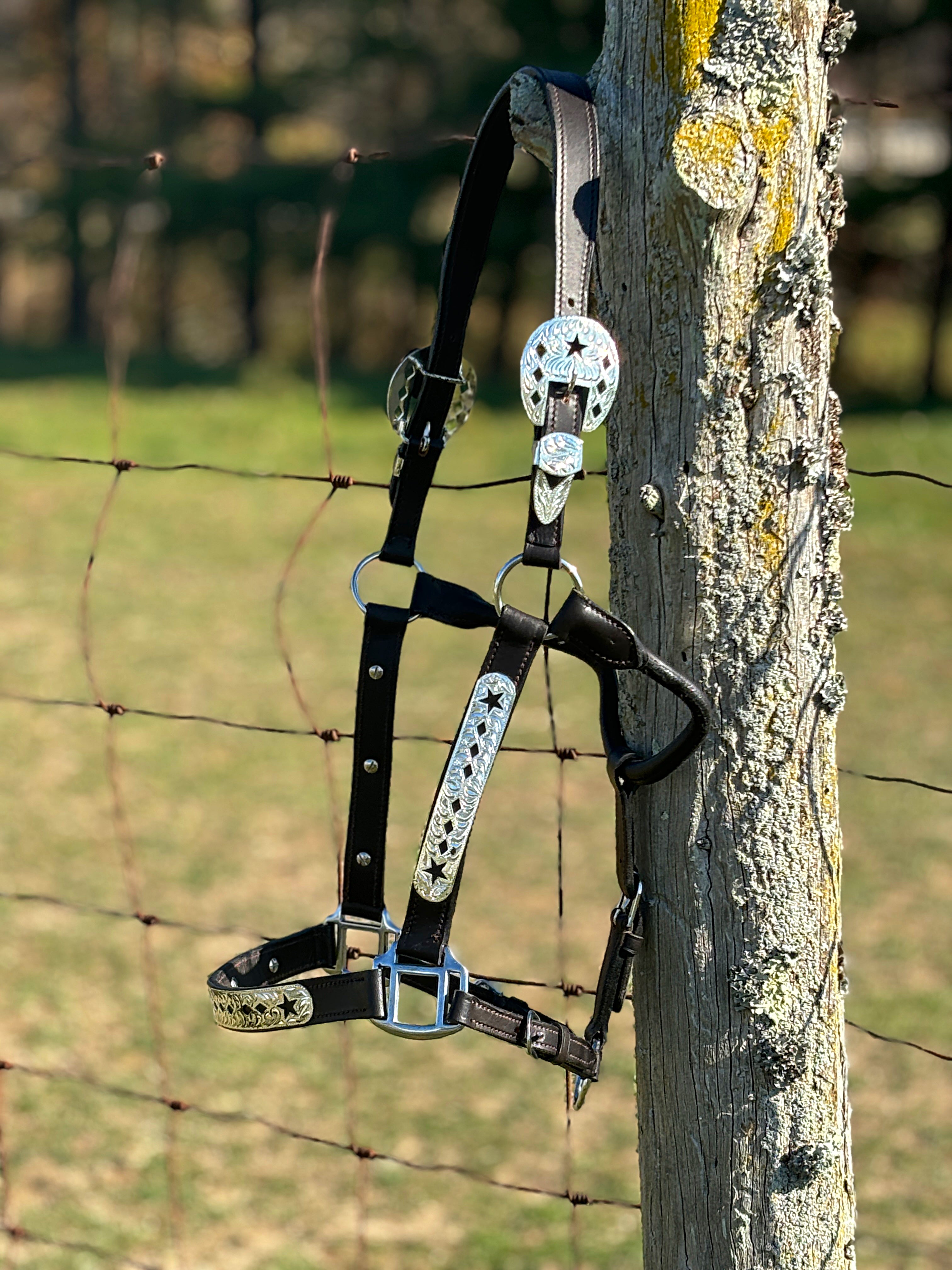 Dark Leather Show Halter ~ Stars & Diamonds - Henderson's Western Store