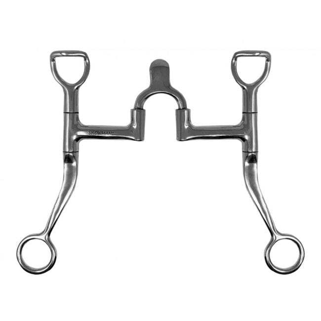 Shiloh Bits