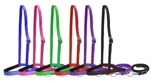 shiloh Tie Down