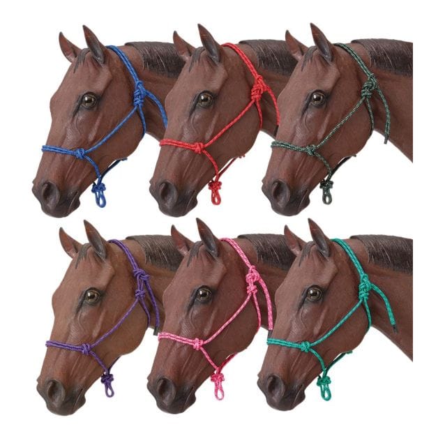 JT International Halters