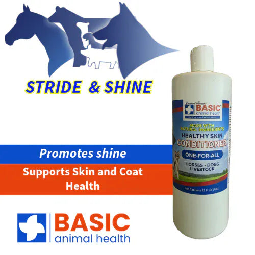 Basic Animal Health Barn Equipment