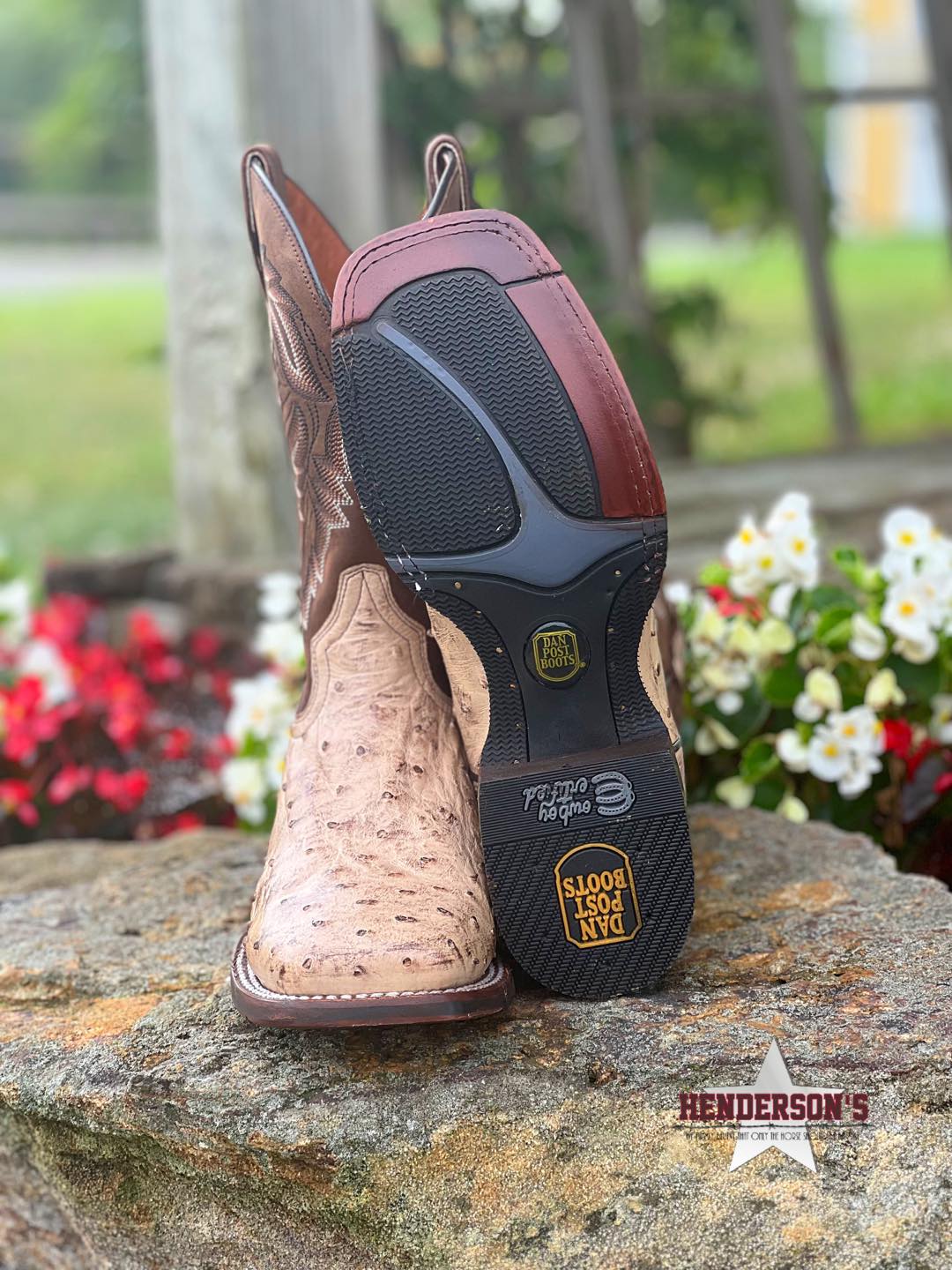 Alamosa Boots by Dan Post - Henderson's Western Store