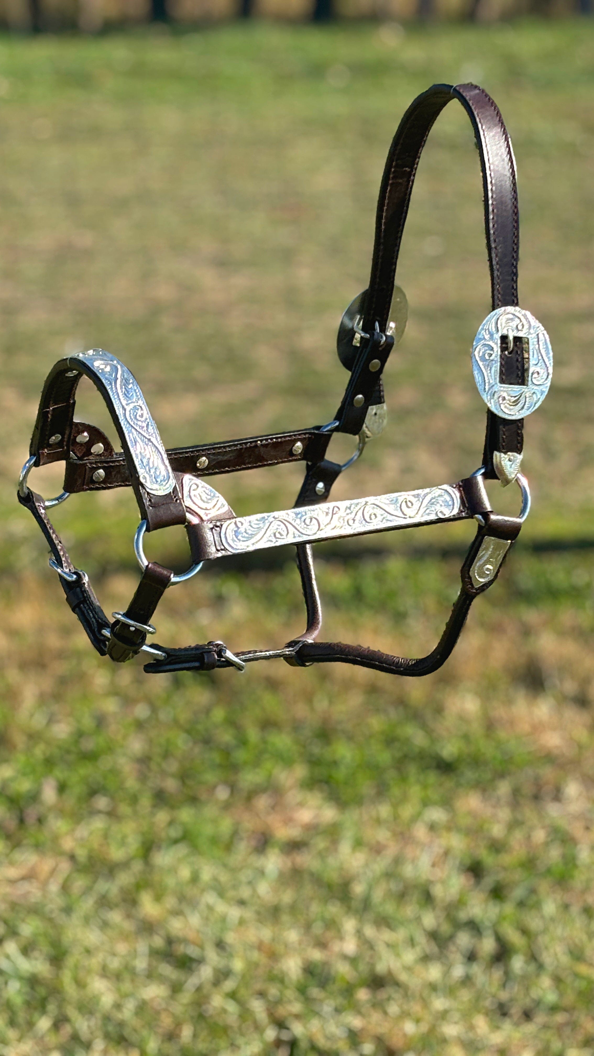 Royal King Show Halter ~ Silver Scroll - Henderson's Western Store