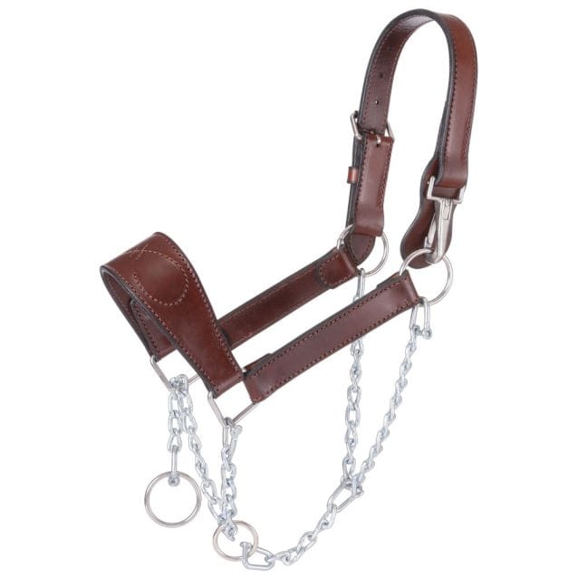 JT International Headstalls