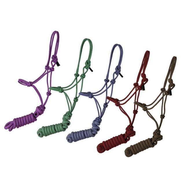 Shiloh halters