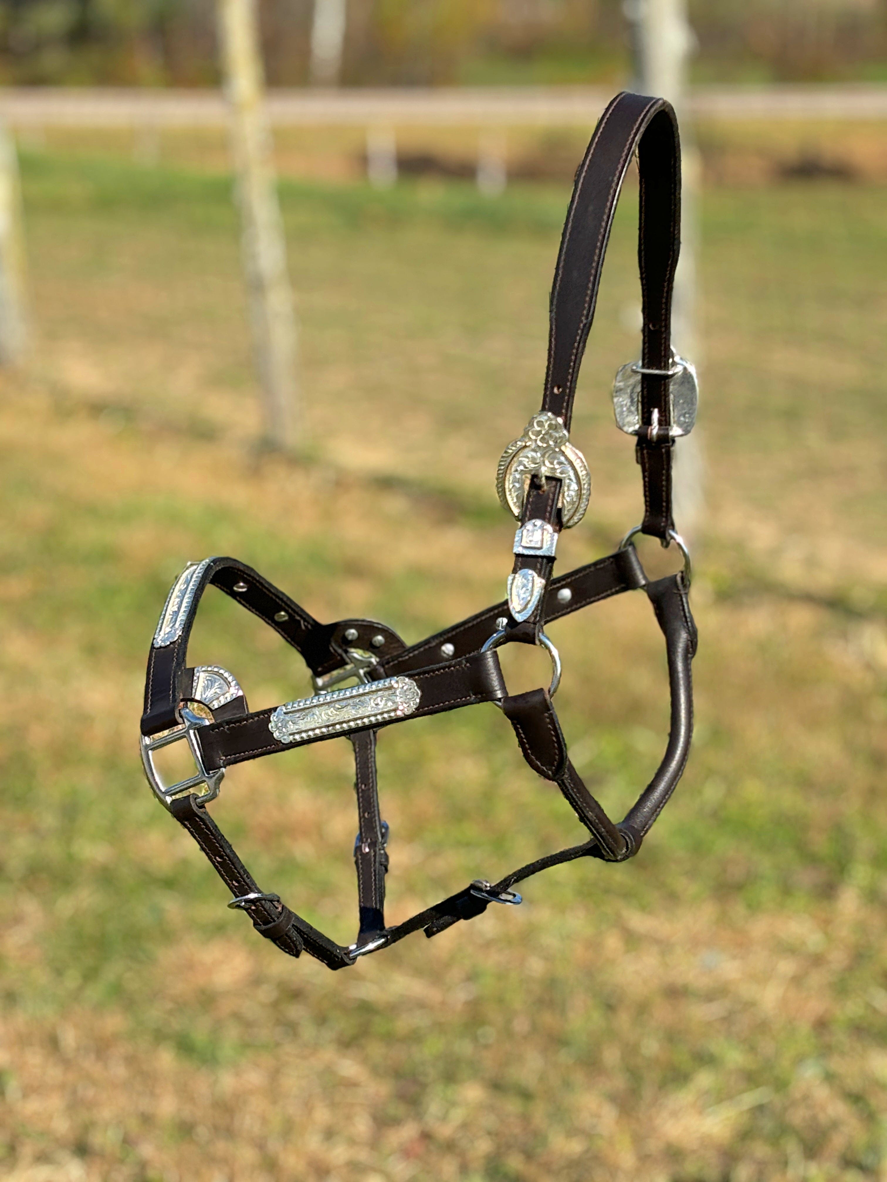 Dark Leather Show Halter ~ Floral Engraved - Henderson's Western Store