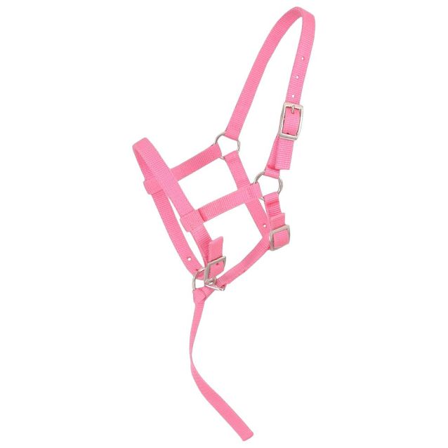 Tough1 Adjustable Foal Halter - Henderson's Western Store