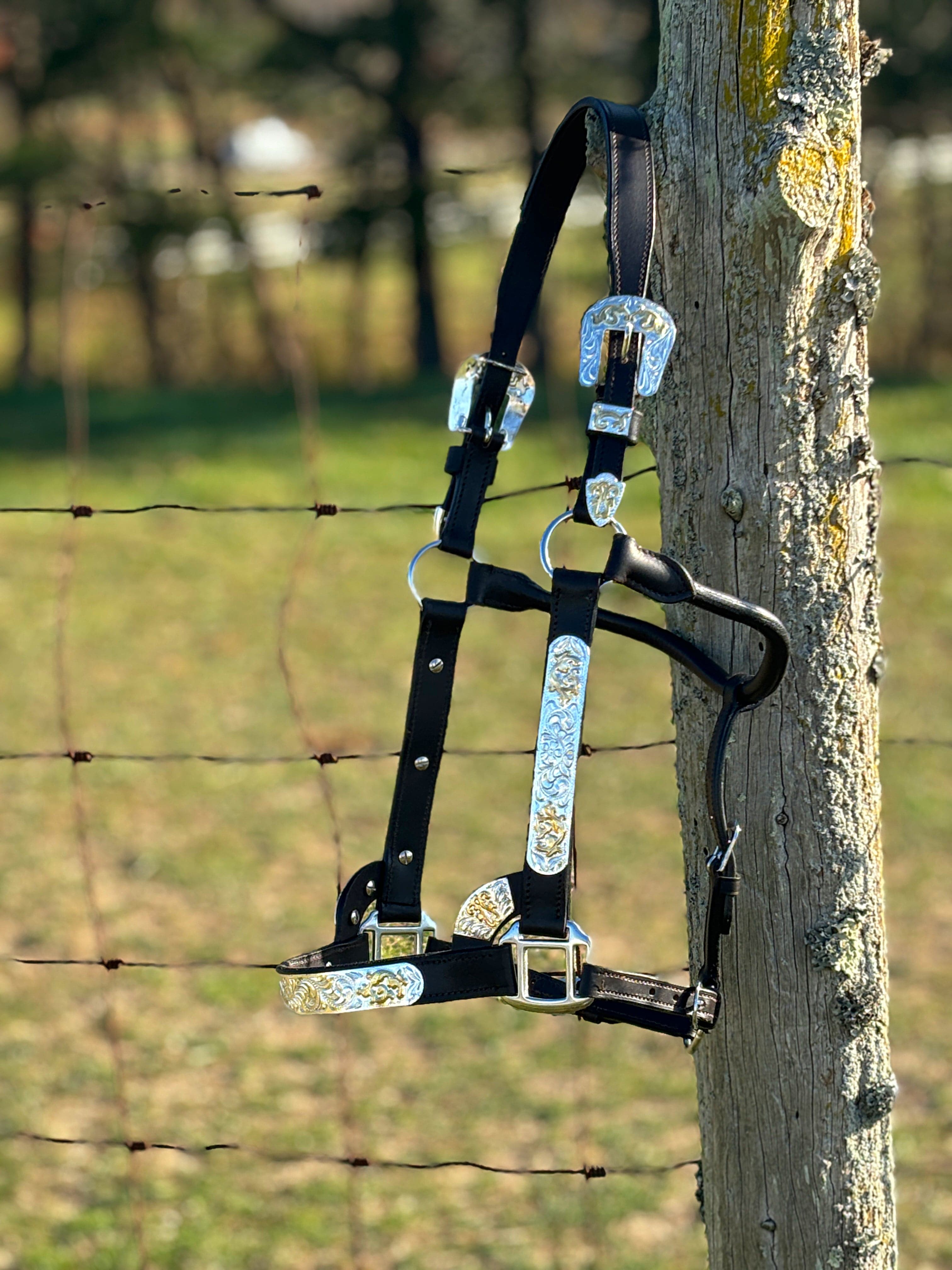 Shiloh Show Halters