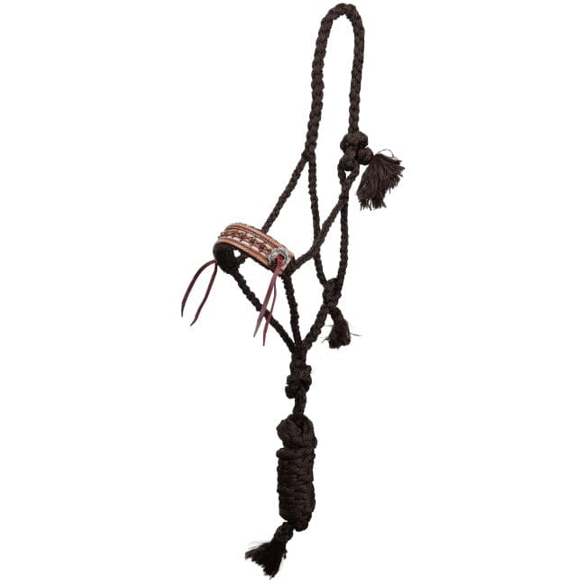 Mule Tape Halter ~ Cow Camp - Henderson's Western Store