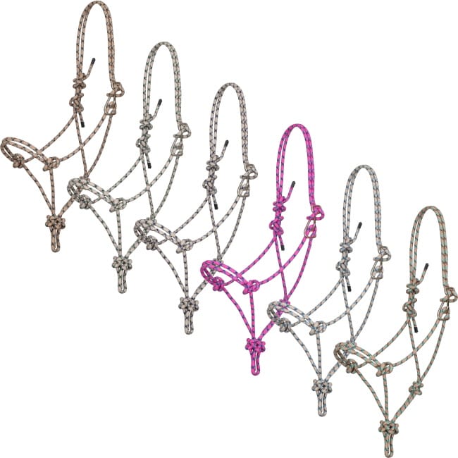 Shiloh halters
