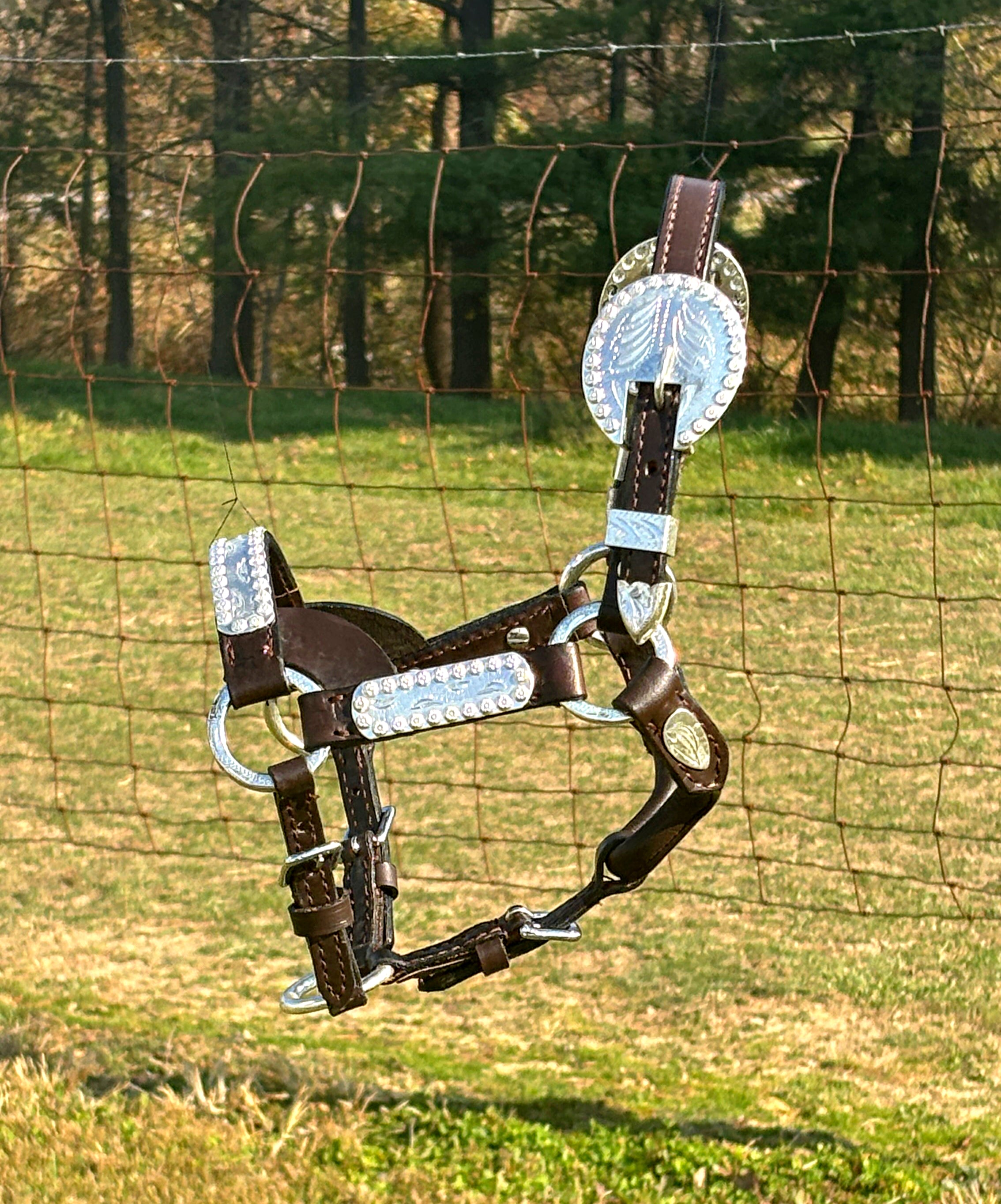 Show Halter ~ Mini - Henderson's Western Store