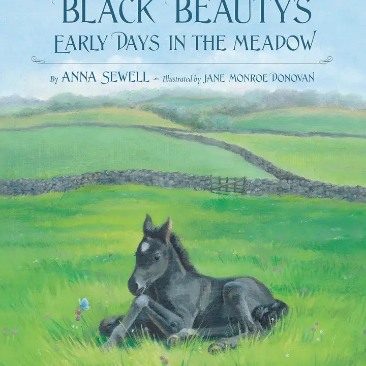 Black Beauty's - Henderson's Western Store