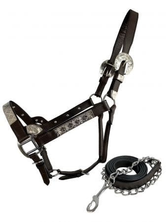 Dark Leather Show Halter ~ Silver Bar - Henderson's Western Store