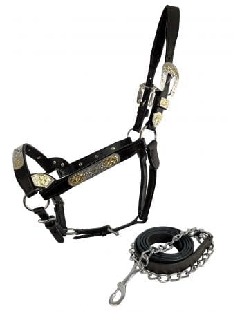 Shiloh Show Halters