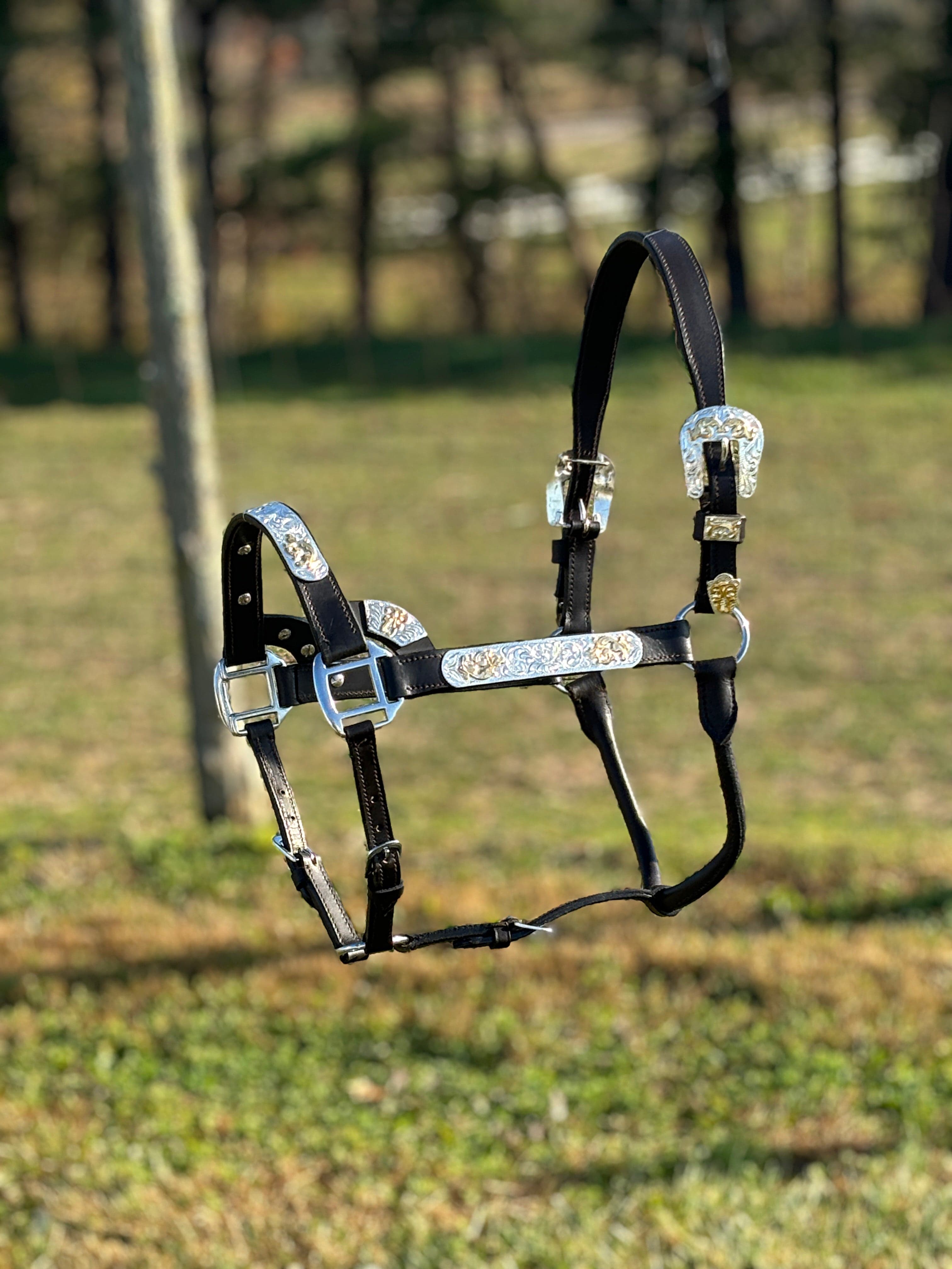 Shiloh Show Halters