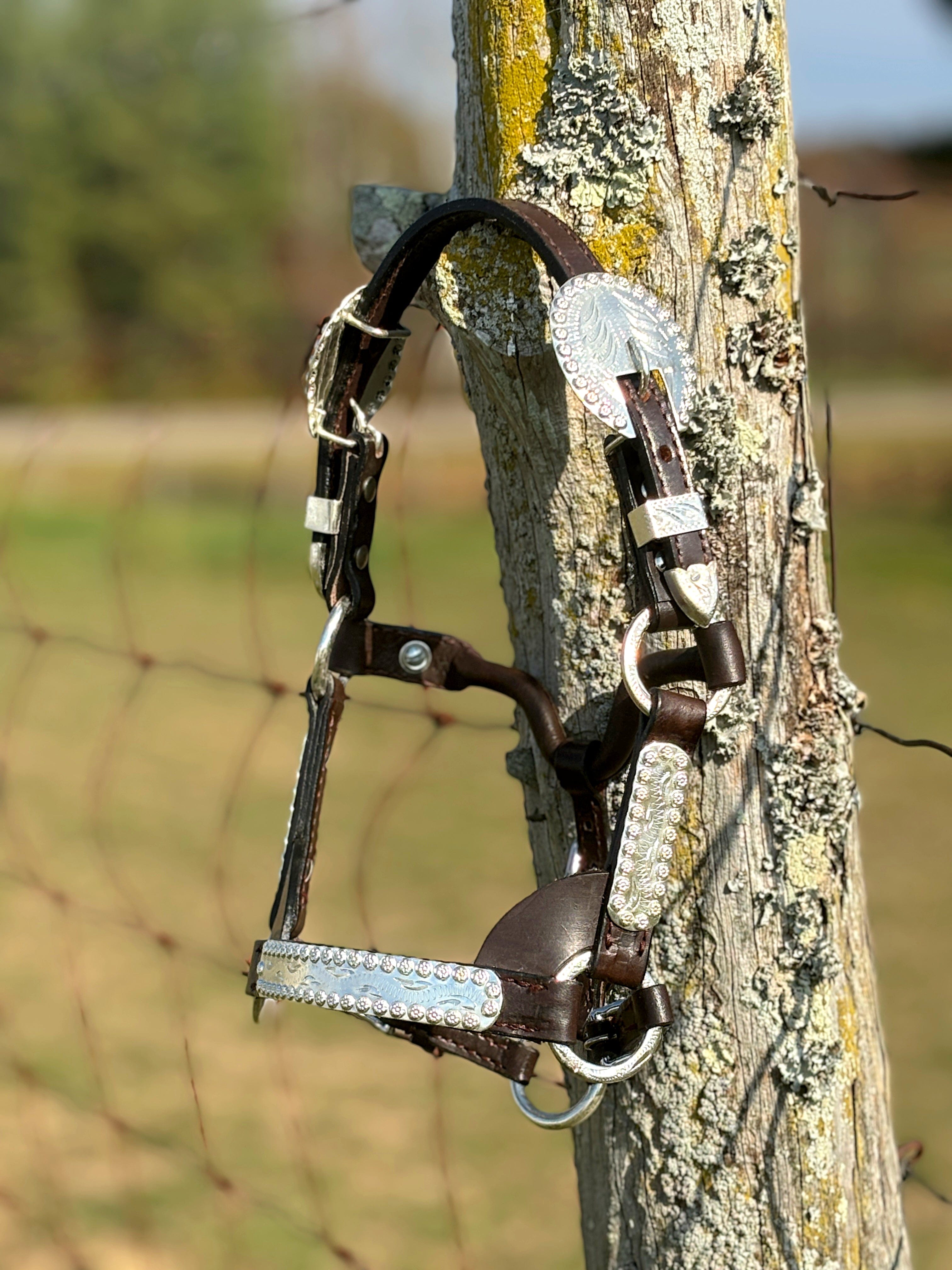 Show Halter ~ Mini - Henderson's Western Store