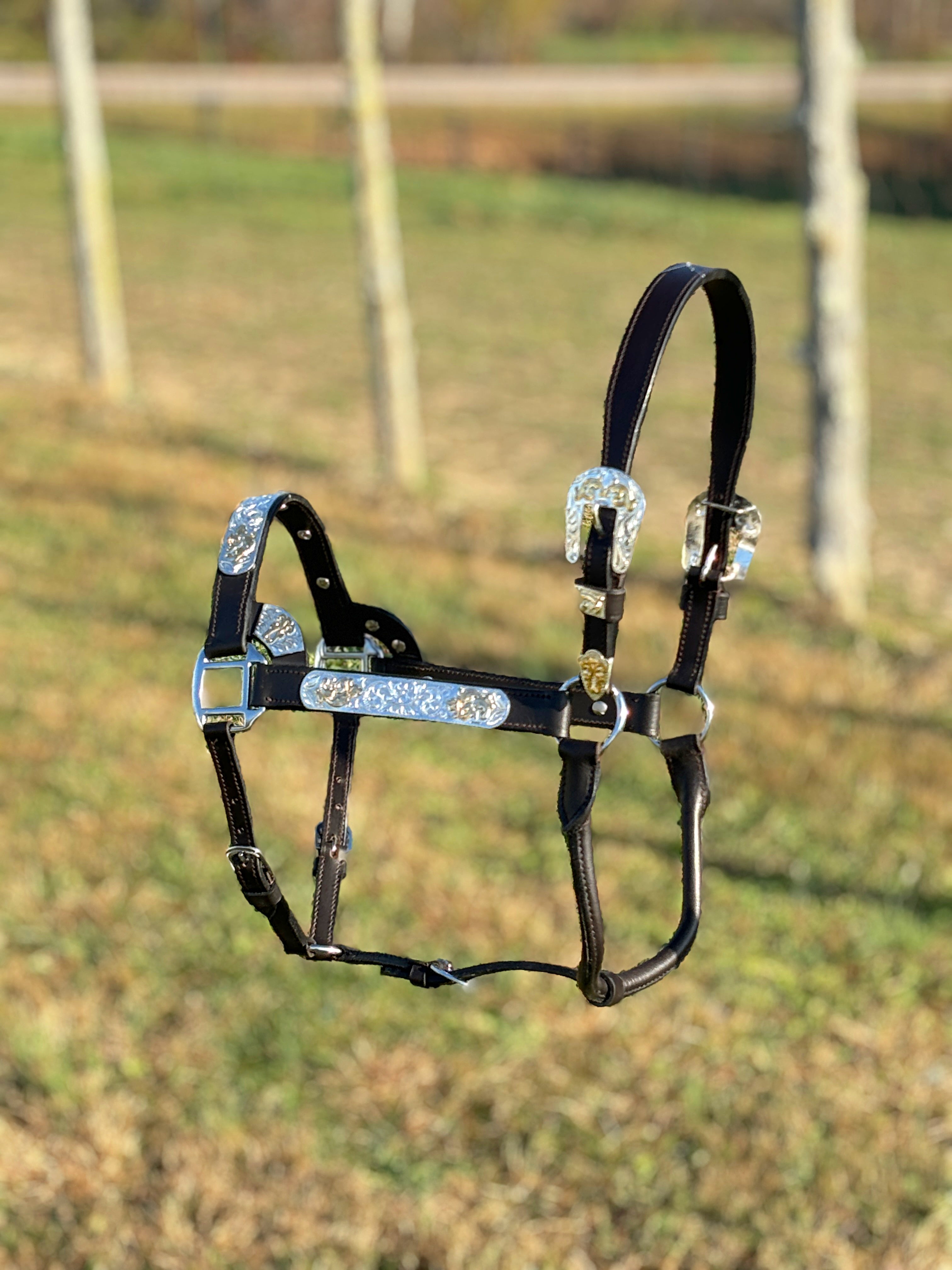 Dark Leather Show Halter ~ Gold Accents - Henderson's Western Store