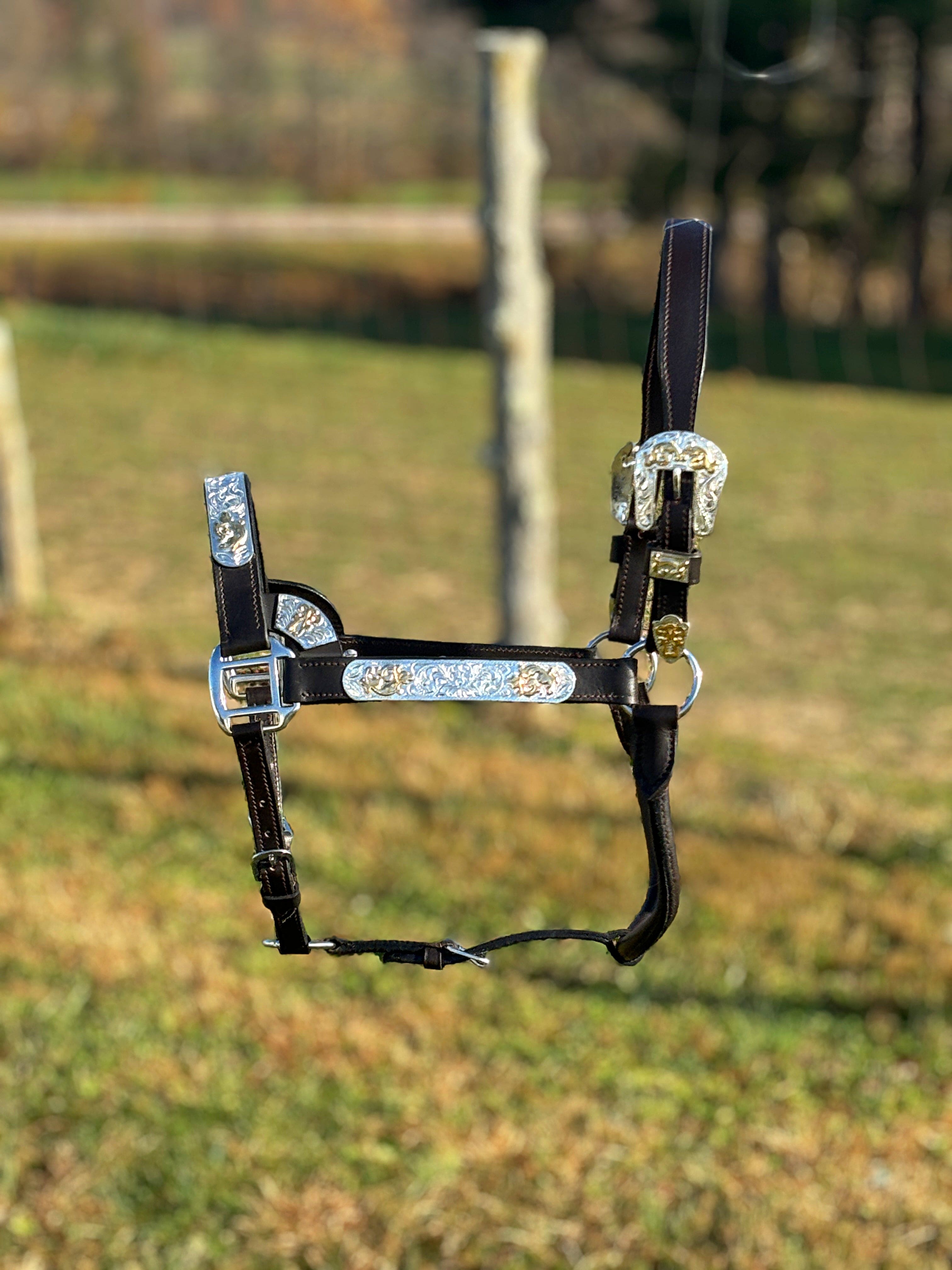 Shiloh Show Halters