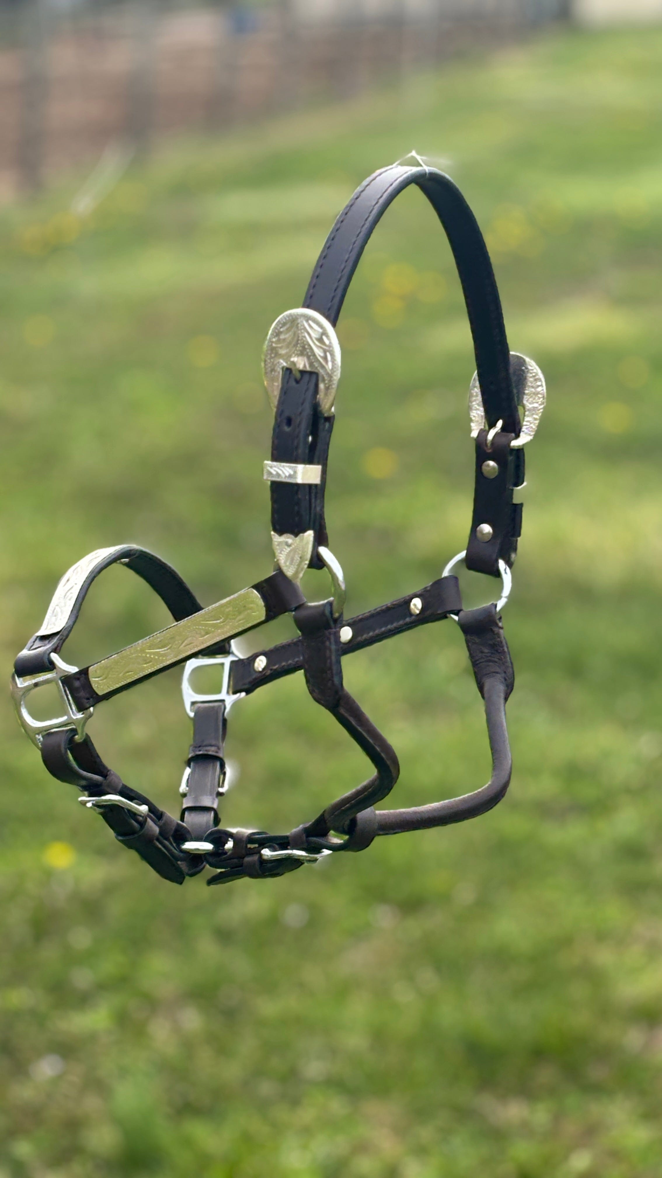 Royal King Silver Bar Show Halter ~ Pony - Henderson's Western Store