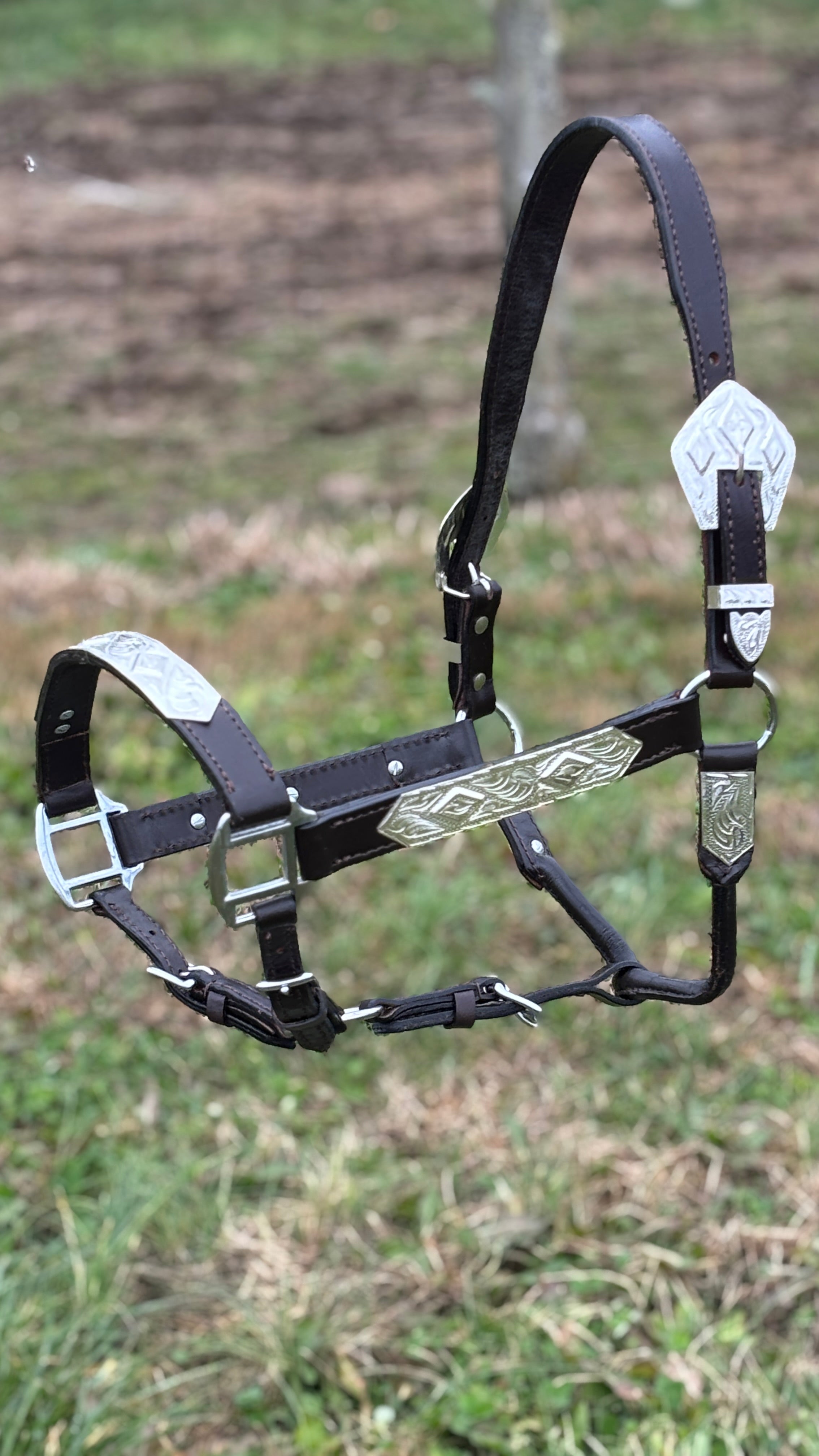 Dark Leather Show Halter ~ Horse - Henderson's Western Store