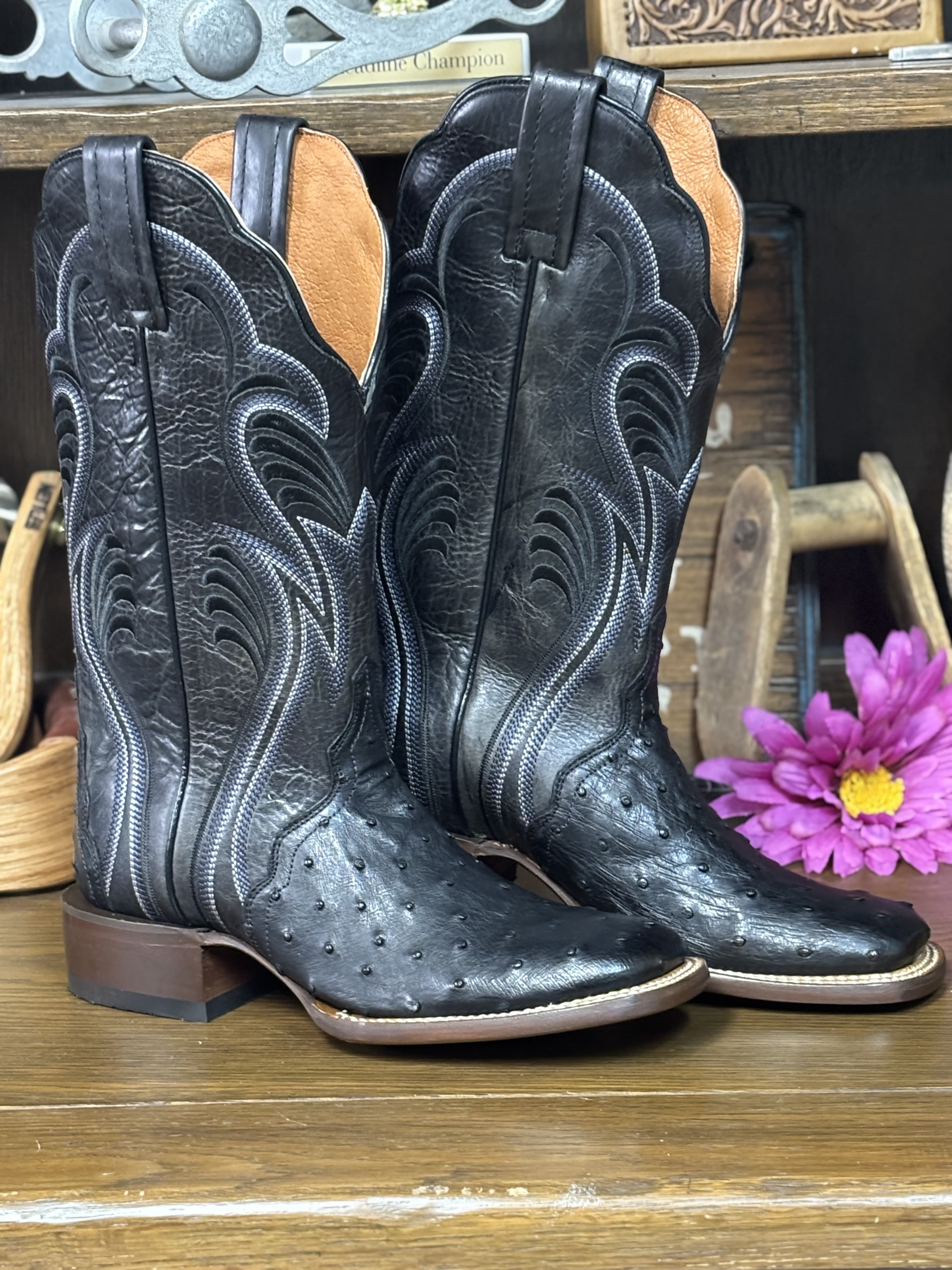 Dan Post Women's Boots