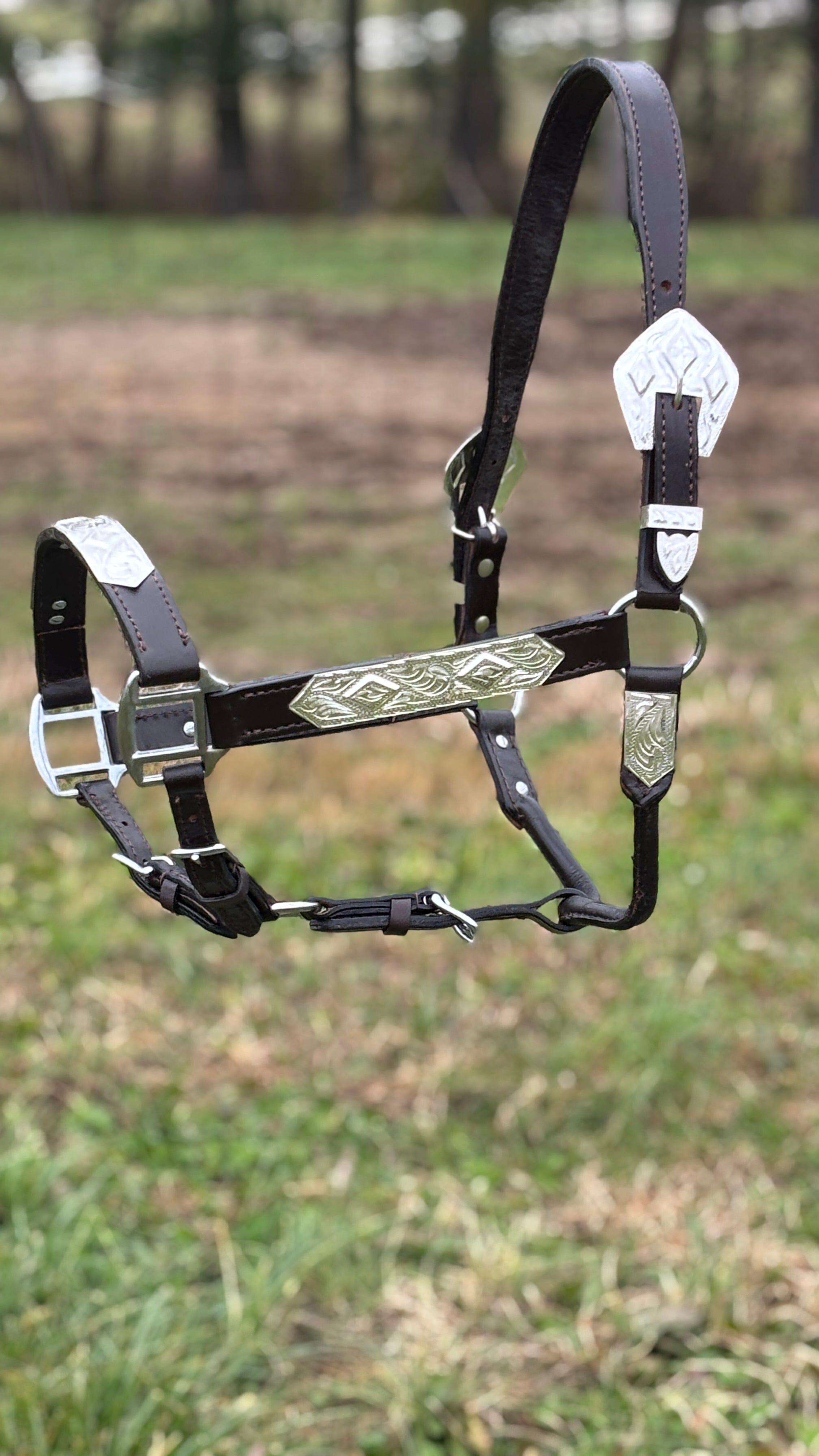 Dark Leather Show Halter ~ Horse - Henderson's Western Store