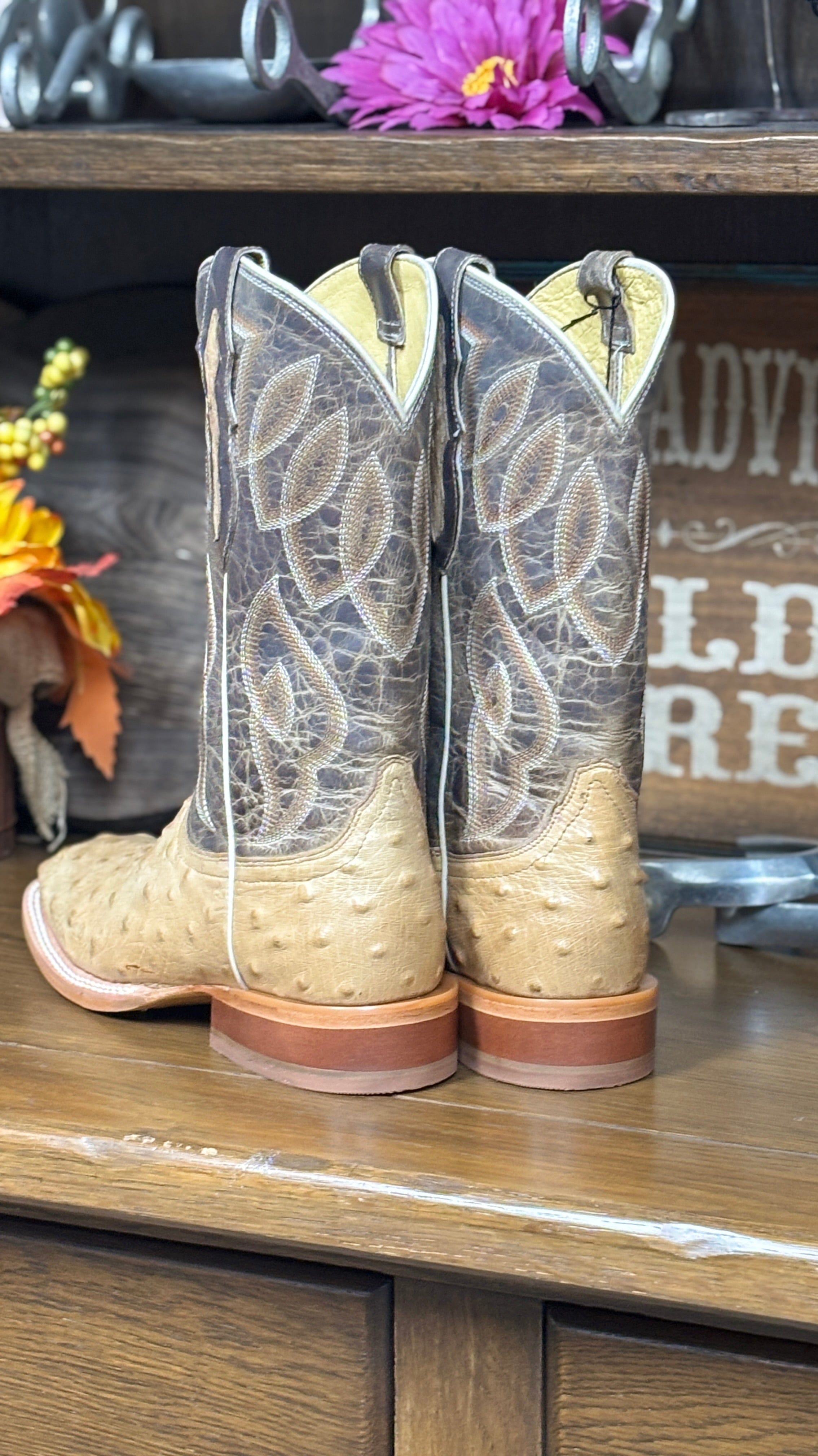 Cheyenne Tan Ostrich by Tony Lama - Henderson's Western Store