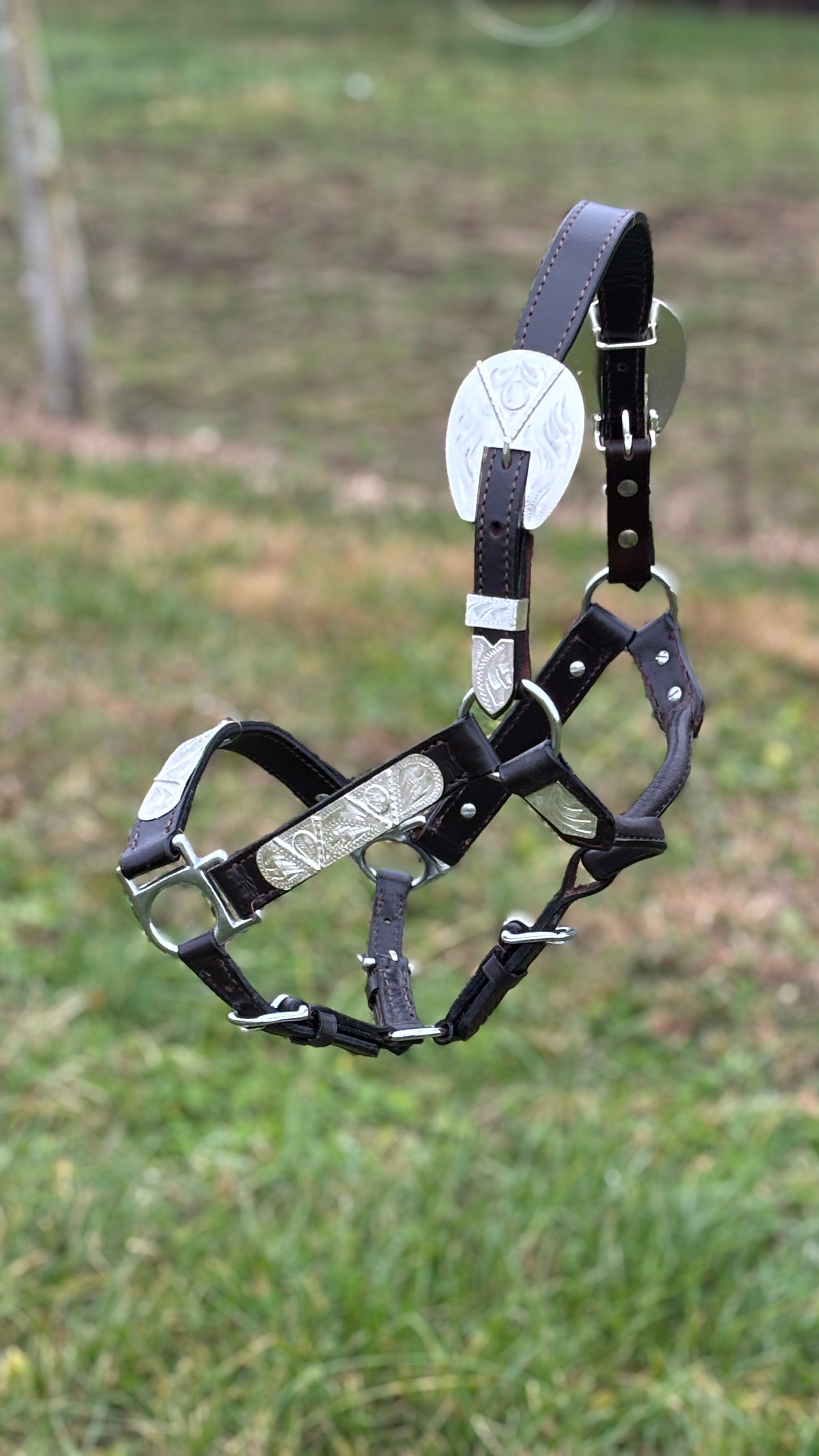 Shiloh Show Halters