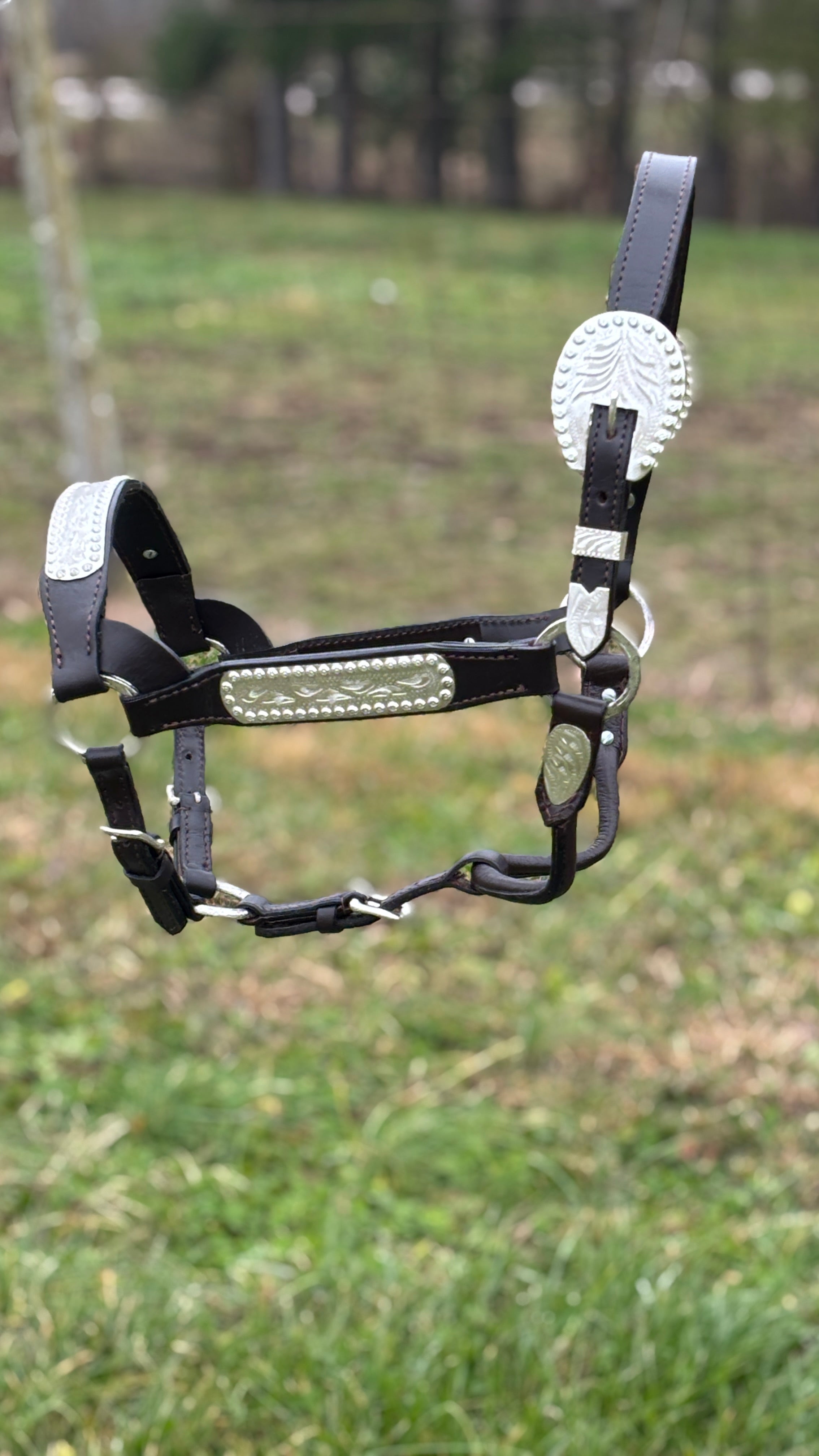 Show Halter ~ Horse - Henderson's Western Store