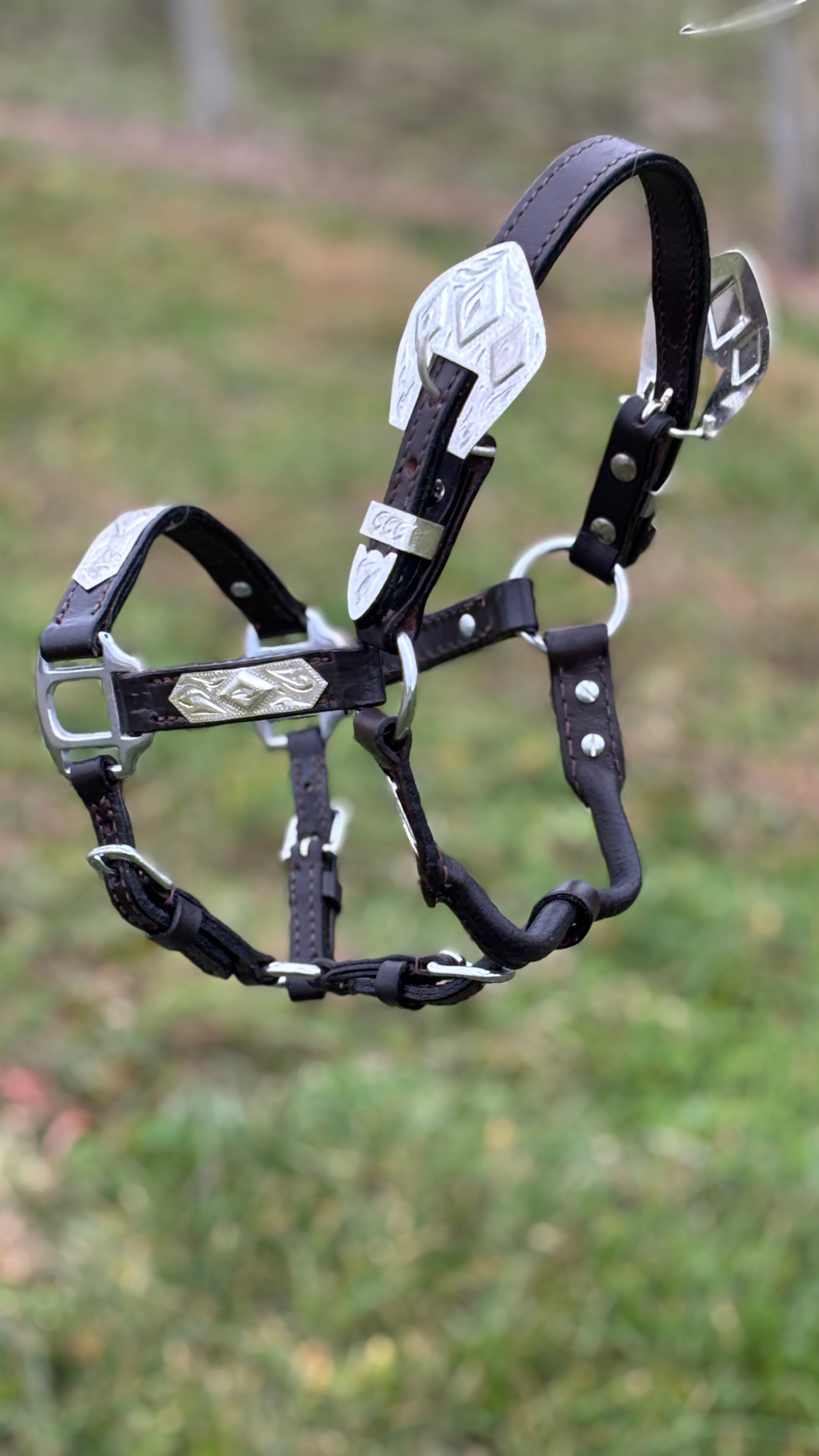 Dark Leather Show Halter ~ Mini - Henderson's Western Store